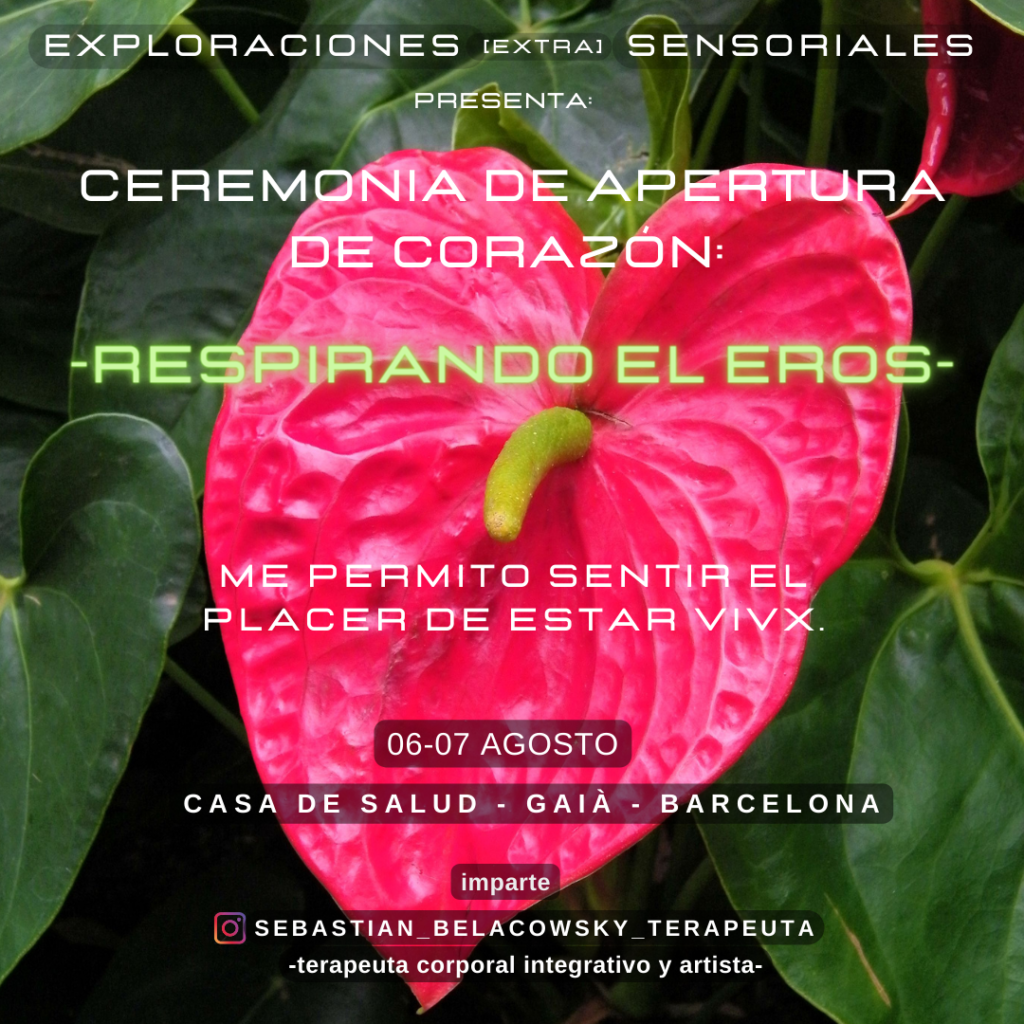 sebastian belacowsky terapia para artistas procesos creativos impulsa la creatividad traspasa obstáculos expresión desbloquea la creatividad desbloqueo corporal terapia transpersonal meditación respiración relajación arte música producción musical música y estados expandidos de consciencia
